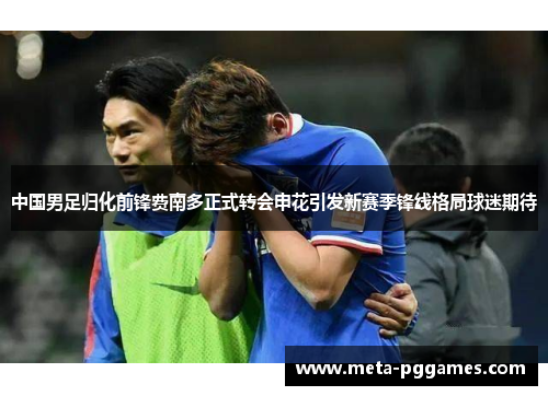 中国男足归化前锋费南多正式转会申花引发新赛季锋线格局球迷期待 中国男足归化前锋费南多正式转会申花引发新赛季锋线格局球迷期待