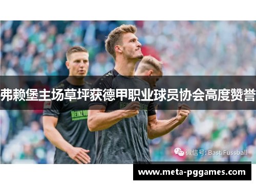 弗赖堡主场草坪获德甲职业球员协会高度赞誉