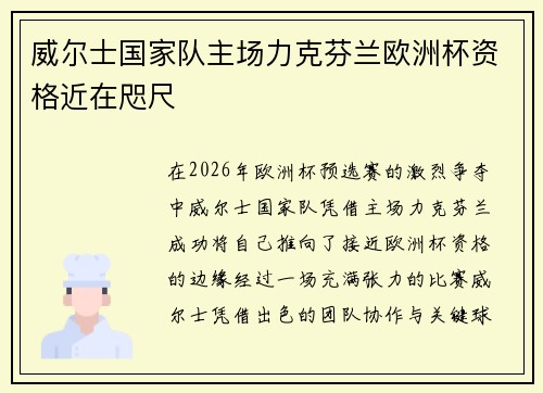 威尔士国家队主场力克芬兰欧洲杯资格近在咫尺