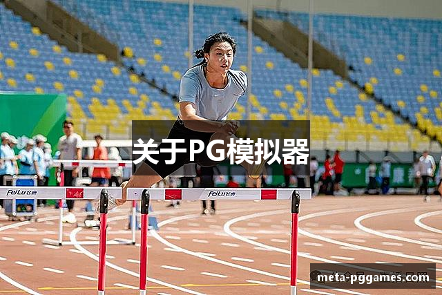 关于PG模拟器